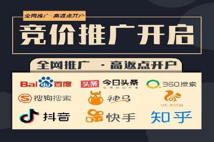 百度推广平台案例剖析：揭秘广告投放策略